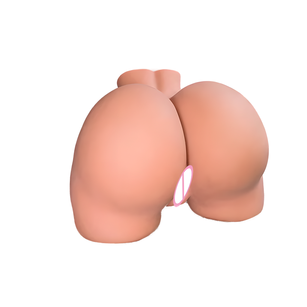 3D model of a female torso on a white background