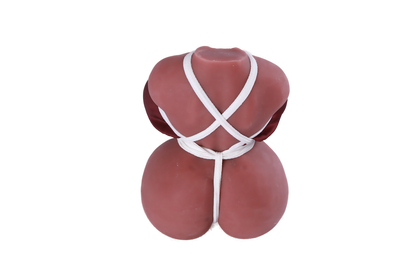 550 G - BBW small torso sex toy – soft feel